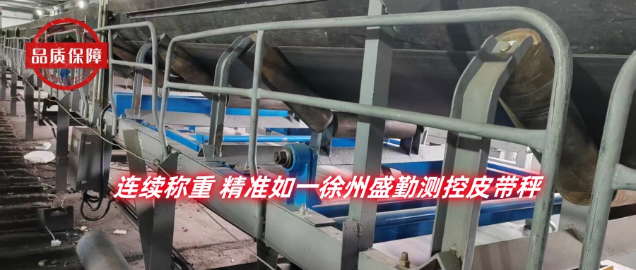 皮带秤生物质.jpg 皮带秤生物质.jpg